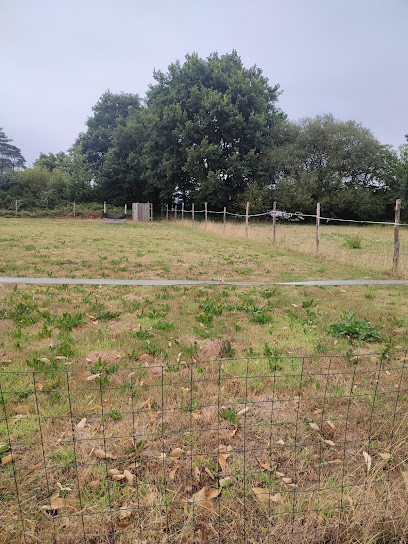Domaine Des Héritiers, Dresseur de Chiens à Saint-M'Hervé
