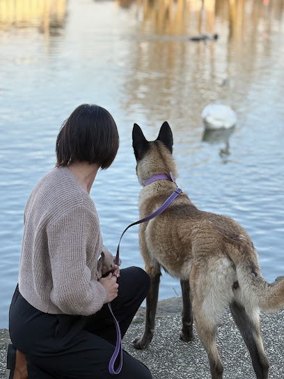 Stéphanie Educ'canin, Dresseur De Chiens à Soucy