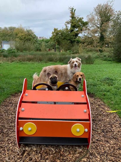 Malou Houssay éducatrice Canin, Dresseur de Chiens à Quéven