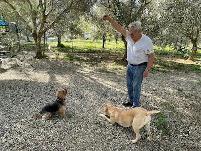 Pension Les Aristos Chiens Et Chats, Pension pour Chiens à Belgodère