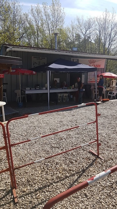 Education Canine de Saint Ferréol d'Auroure, Dresseur de Chiens à Saint-Ferréol-d'Auroure