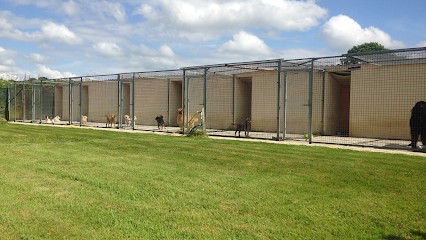 Joncour Marc, Pension pour Chiens à Callac