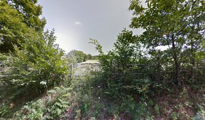 Les Chiens de la Fôret Haute, Eleveur de Chiens à Saint-Clément