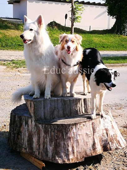 Lilwenn éducateur canin - Educ'aussie, Dresseur de Chiens à Pordic