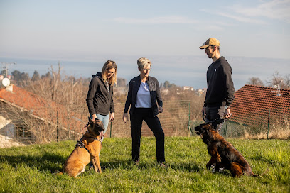 Toutou O'top, Dresseur De Chiens à Publier