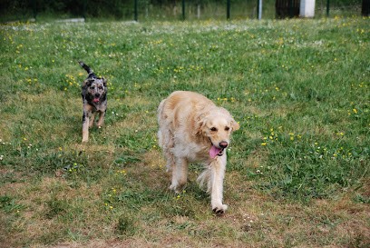 pension goldin, Pension pour Chiens à Ramous