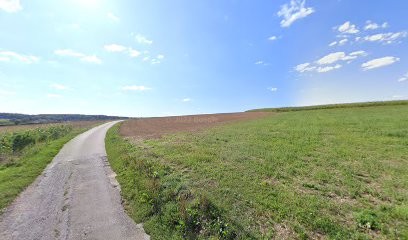 Mme Bertrand Dominique, Eleveur de Chiens à Battenans-les-Mines