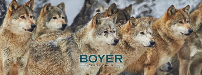Centre Canin Boyer, Dresseur de Chiens à Théméricourt