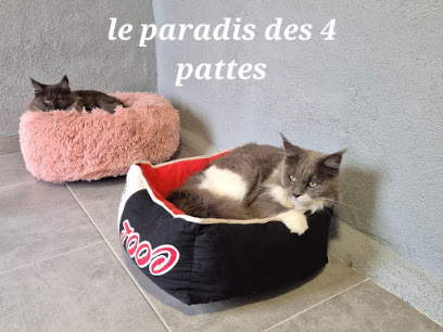 Pension Canine Et Féline, Le Paradis Des 4 Pattes, Pension Pour Chien à Bouhans