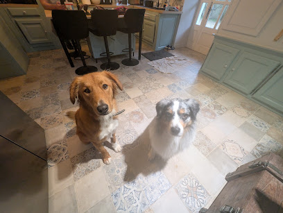 Esprit Canin &Co, Pension Pour Chien à Saint-Hilaire-de-Brethmas