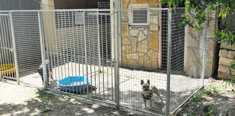 Dogs R Zen, Pension pour Chiens à Château-Renard