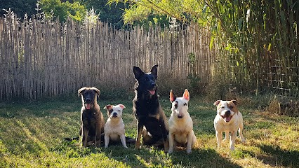 Éduc' Mon Maître, Dresseur de Chiens à Saint-Pons-la-Calm