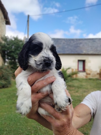 Élevage La Pierre aux Leux, Eleveur de Chiens à Brie