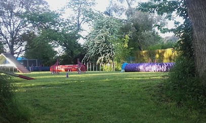 Michelle Johnston Agility, Dresseur de Chiens au Hinglé