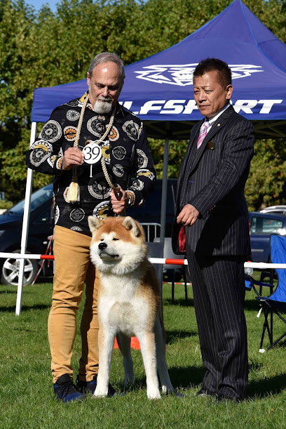Akita Inu Shichi Go San, Éleveur De Chiens à la Bollène-Vésubie