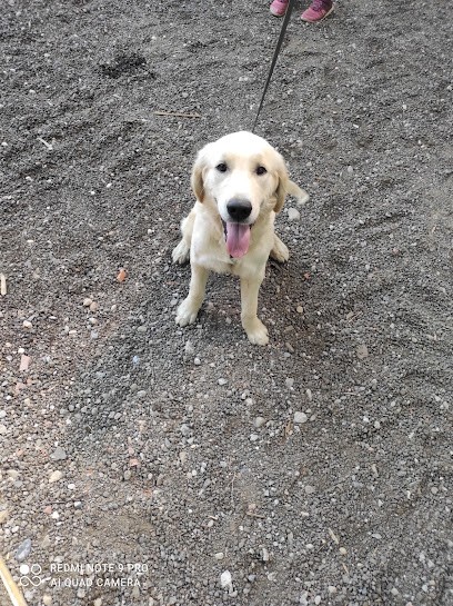 Dog Hotel Du Fuchsloch, Pension pour Chiens à Romanswiller