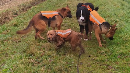 Le Dolmen Des Ann'imos, Pension pour Chiens à Plaudren