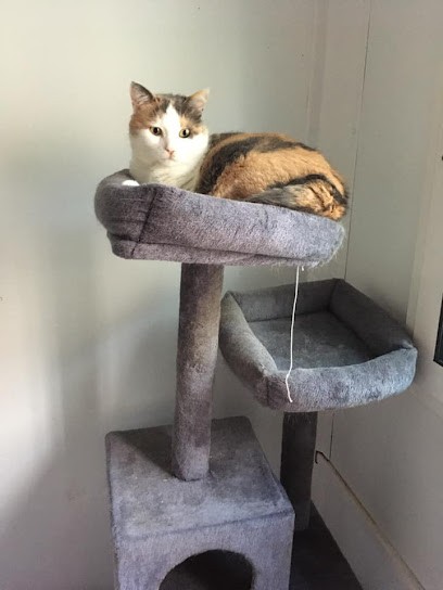 Au Bon Chenil, Pension pour Chiens à Saint-Sauveur