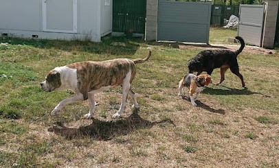 La Chevrie, Pension pour Chiens à La Villeneuve-en-Chevrie