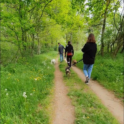 Rk-dog education canine, Dresseur de Chiens à Ouvrouer-les-Champs