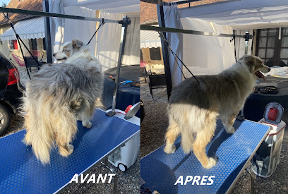 Au Bonheur D'olyssko - La Maison Des Animaux, Pension Pour Chien à Dun-sur-Auron