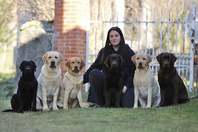 Élevage du bois de l’Ayade, Eleveur de Chiens à Saint-Didier-sur-Doulon