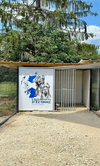 Élevage Des Gardiens D'ecosse Cane Corso, Éleveur De Chiens à Charras