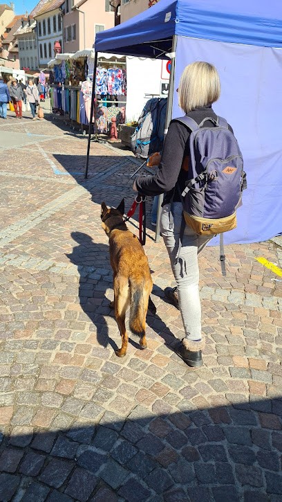 Super Nanny Dog - Educatrice Comportementaliste Canin à Domicile Secteur Haut-rhin Et Environ, Dresseur de Chiens à Raedersheim