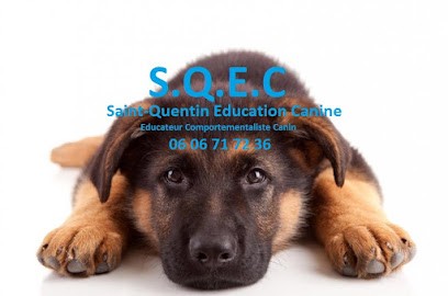 Éducation Canine, Dresseur de Chiens à Saint-Quentin