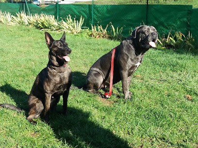 Cani'Harmonie éducation Canine Renageoise, Dresseur de Chiens à Renage