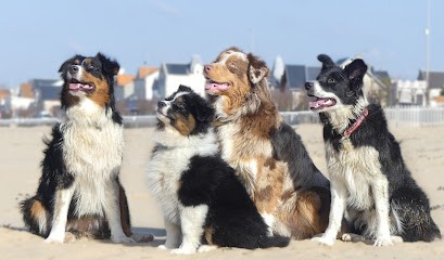LES JARDINS DE CONSTANCE, Eleveur de Chiens à Saint-Jean-de-Liversay