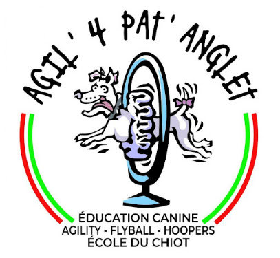Agil 4 Pat Dresseur De Chiens à Anglet