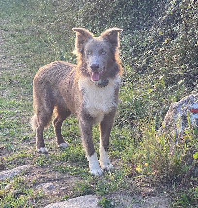 Les Milas de l'Aube, Eleveur de Chiens à Rancourt