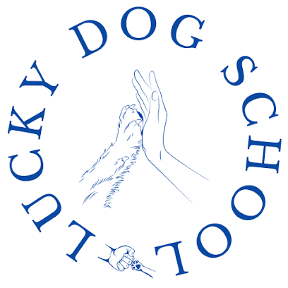 Lucky Dog School, Dresseur De Chiens à Eaubonne