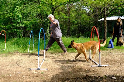 Laïkaâ, Dresseur de Chiens à Saint-Cyr-Montmalin
