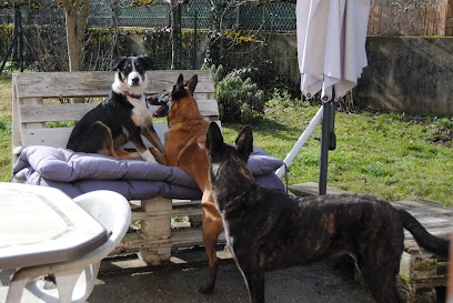 Oxali Pôle Canin, Pension Pour Chien à Brens