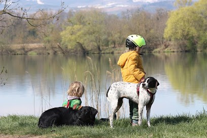L'eden D'olanatis, Pension pour Chiens à Châtillon-sur-Chalaronne