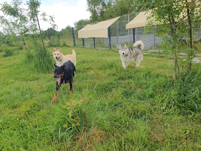 Phoenix Garden (Pension Canine) Uniquement Sur Rdv, Pension Pour Chien à Channay-sur-Lathan