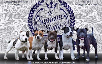 Of Suprême staffy’s, Eleveur de Chiens à Veix