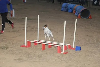 AGILITY CLUB NEVIANAIS, Dresseur de Chiens à Névian