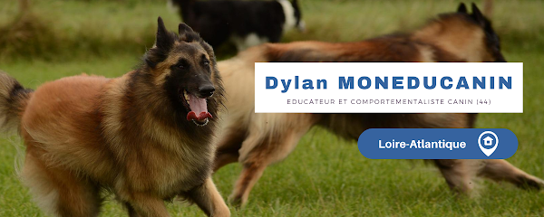 Dylan Moneducanin - Educateur Comportementaliste Canin Dresseur De Chiens à Rezé
