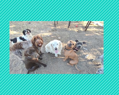 Pupuce Family - Pension Canine, Pension pour Chiens à Draché