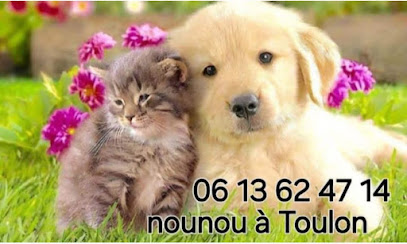 Pet Sitter Pour Vos Toutous Pension Pour Chien à Toulon