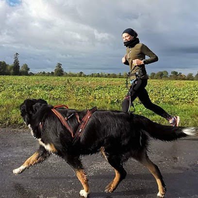 Hotel Napoleon, Pension pour Chiens à Thiberville