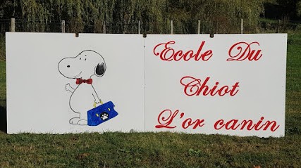 L'or Canin, Dresseur de Chiens à Saint-Michel-de-Saint-Geoirs