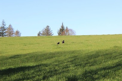 Elevage de la Garde Suisse, Eleveur de Chiens à Jaudrais