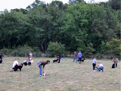 Reliance Homme-Animal- Education Et Comportement Canin Dresseur De Chiens à Tourves