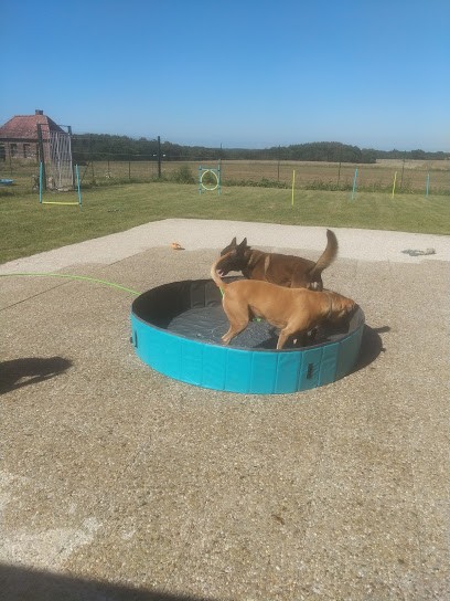 Les toutous de la ventelette, Pension pour Chiens à Quincampoix