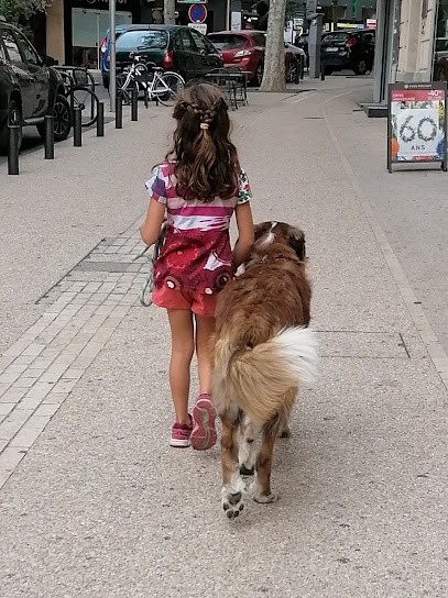 Education canine en Provence, Dresseur de Chiens à Lançon-Provence