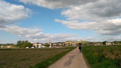 CECAO Sud Gironde, Dresseur de Chiens à Saint-Maixant